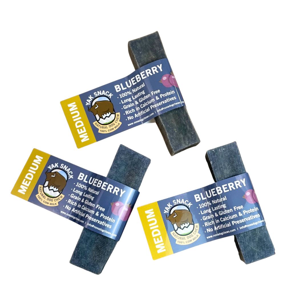 Blueberry Yak Snacks