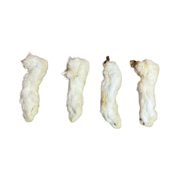 Rabbit Feet