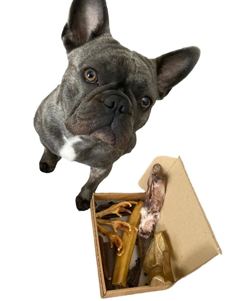 Doggy Pick N Mix Box