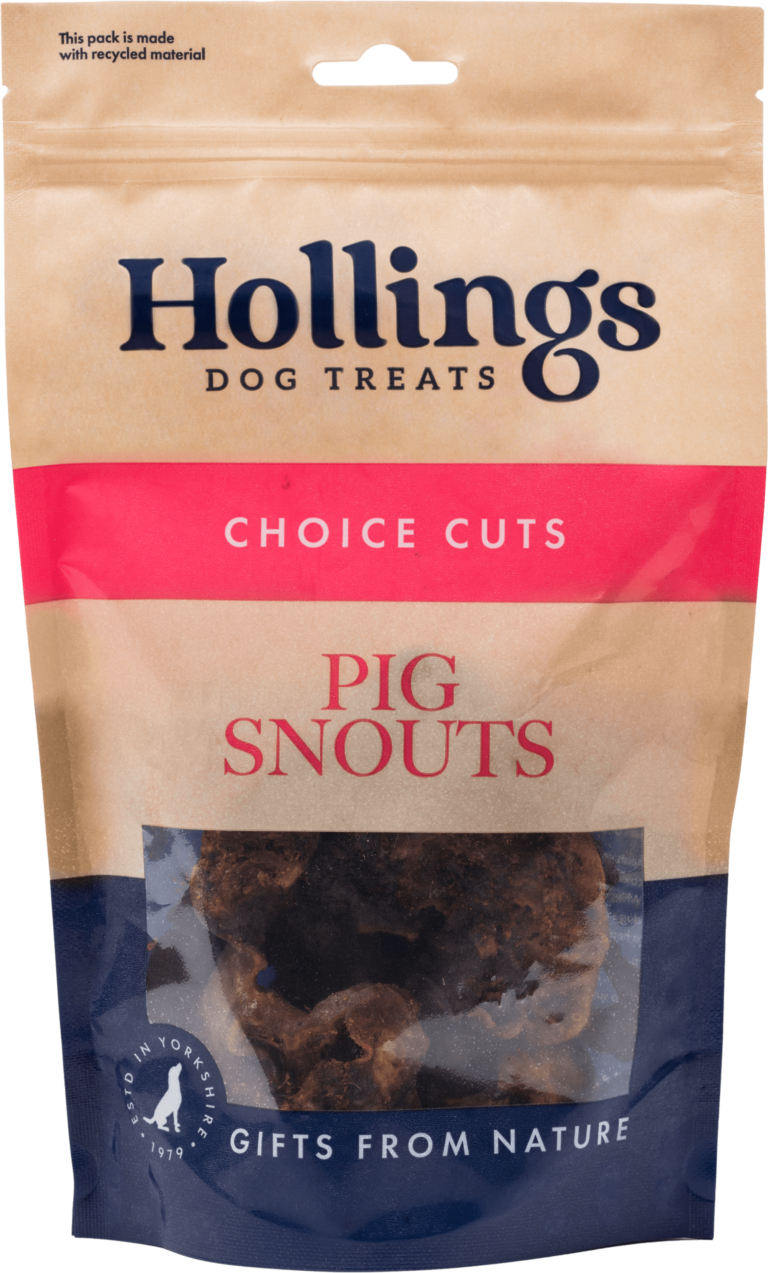 Hollings Pig Snouts