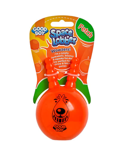 Fetch toy best sale