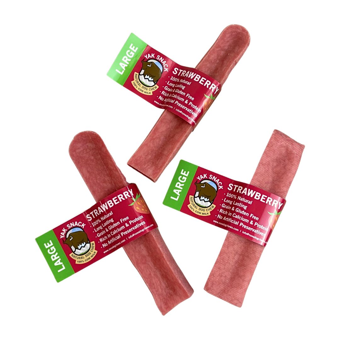 Nova Yak Snack Strawberry
