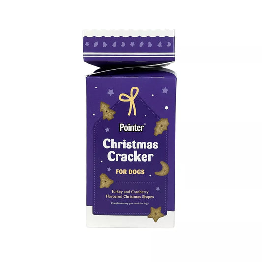 Pointer Christmas Cracker