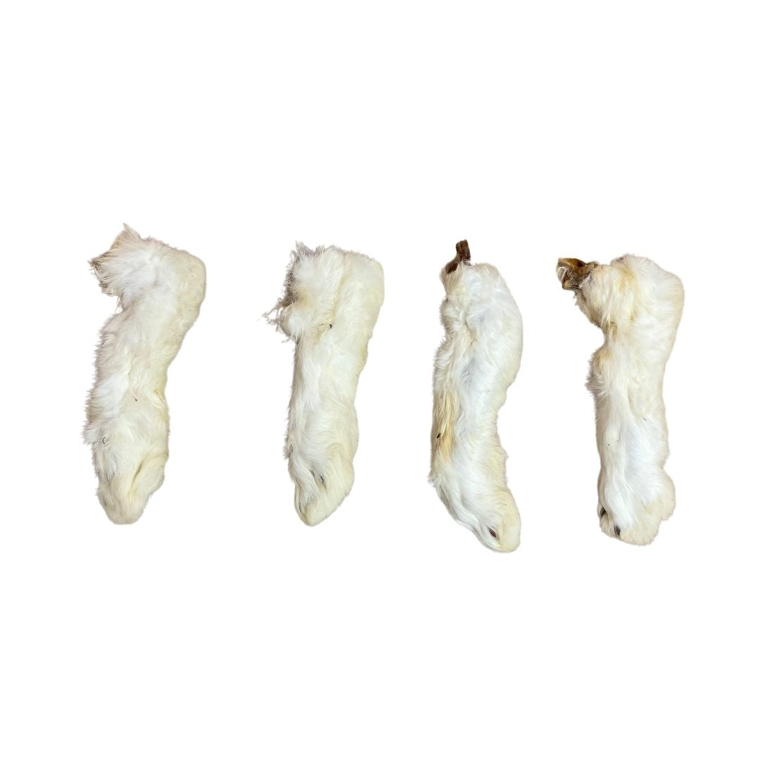 Hairy Rabbit Feet – Bark n Bite