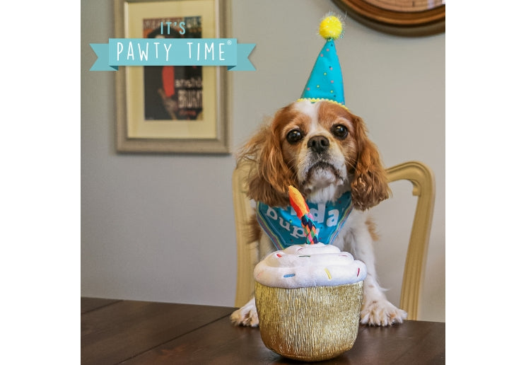 Pawty Cupcake