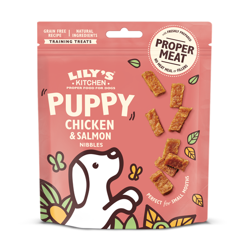 Lily's Kitchen Puppy Chicken & Salmon