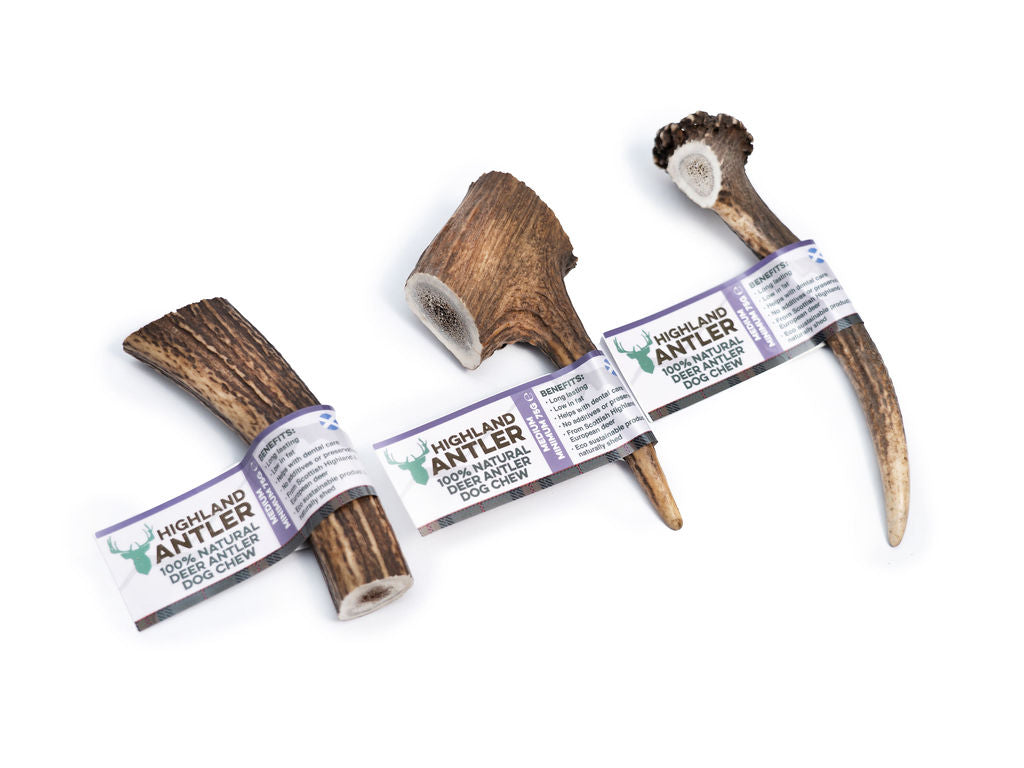Nova Deer Antler
