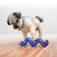 KONG Treat Spiral