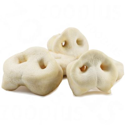 Natural Puffed Pig Snouts